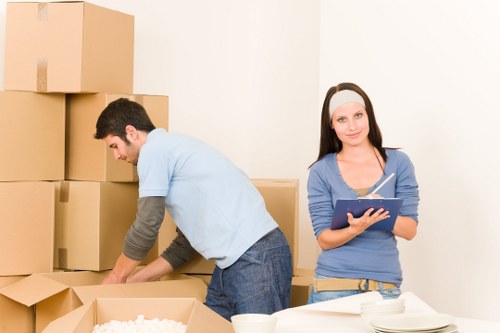 Vehicle loading for a professional moving service